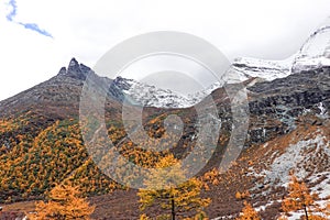 Landscape view in autumn at Yading national reserve