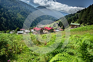 Landscape view of Ayder Plateau in Rize,Turkey