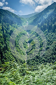 Landscape view of Ayder Plateau in Rize,Turkey photo