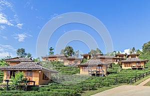 Landscape view of Ban rak thai Chinese community village in Pai, Mae Hong Son, Thailand with tea plantation under blue sky