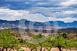 Landscape view of Barinas near Murcia in Spain