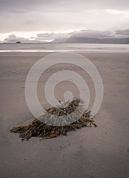 landscape view of a beach in Lofoten Islands, Norway on a cloudy day