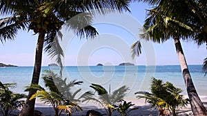 Landscape view of beach sea in summer day. Palm trees on beach sea.