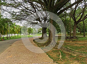 Landscape view of beautiful jogging path at Anjung Floria Presint 4 Putrajaya, one of recreation famoust places