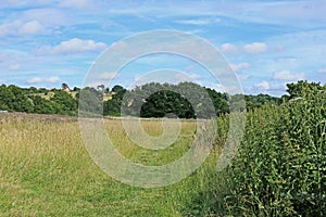 A landscape view of the beautiful Kent countryside