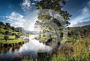 Beautiful natural landscape with green mountains, blue sky, trees, sunlight, water, and flowers in the morning