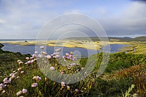 Landscape view on Bordeira beach near Carrapateira on the costa Vicentina in the Algarve in Portugal