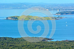 Landscape view of Browns Island New Zealand