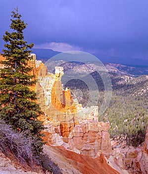 Bryce Canyon in the spring