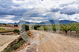 Landscape view of Cieza near Murcia in Spain