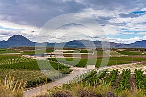 Landscape view of Cieza near Murcia in Spain