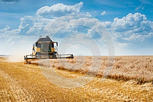 Landscape view of combine harvesting cereals, wheat field and sky with beautiful clouds