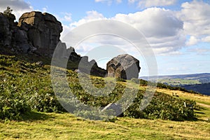 Landscape view of the cow and calf rocks