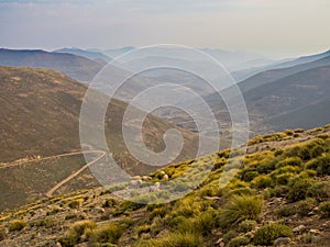 Landscape view of dangerous and curvy mountain dirt road with steep drop to the valley and sheep, Lesotho, Africa