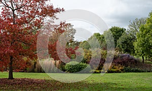 Landscape view of deep autumn colours in the Essex countryside, photographed from RHS Hyde Hall garden near Chelmsford, Essex, UK.