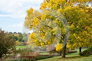 Landscape view of deep autumn colours in the Essex countryside, photographed from RHS Hyde Hall garden near Chelmsford, Essex, UK.