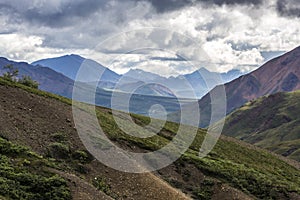 A landscape view of Denali National Park and Preserve in Alaska.