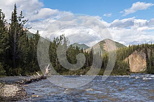 A landscape view of Denali National Park and Preserve in Alaska.