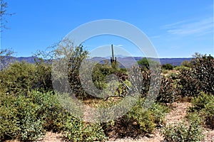 Landscape view of, Maricopa County, Rio Verde, Arizona