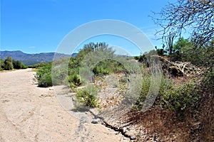 Landscape view of, Maricopa County, Rio Verde, Arizona