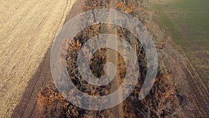 Landscape view of dirt rural road between trees among fields on sunny autumn day