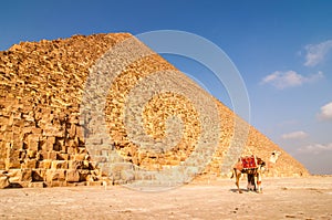 Landscape view of Egypt pyramid in Gisa with camel