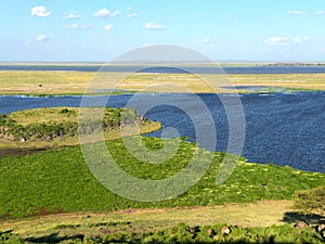 Landscape view of the Enkongo Narok swamp in Amboseli