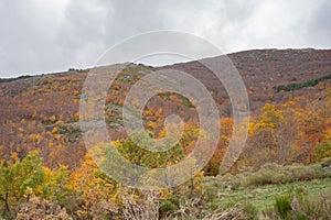 Landscape view of fall foliage, beautiful scenery