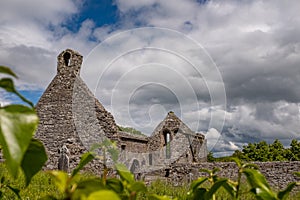 A landscape view through through foliage of the abanoned ruins of Killone Abbey that was built in 1190 and sits on the banks of