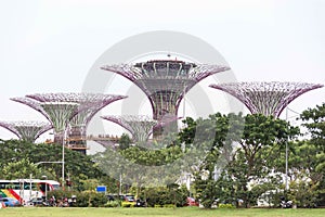 Landscape view of gardens by the bay