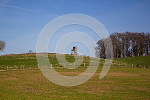 Landscape view of green grass field with blue skybackground