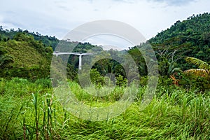 Landscape view of a green grass with a white bridge and trees in the background