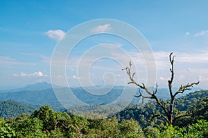 Landscape view of green lush mountain range