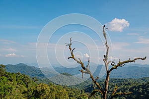 Landscape view of green lush mountain range