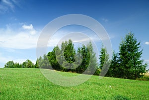 Landscape, view of green rolling fields