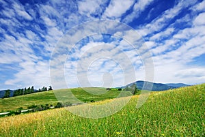 Landscape, view of green rolling fields