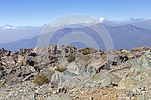 Scenery of the trek of La Campana National park in central Chile, South America photo