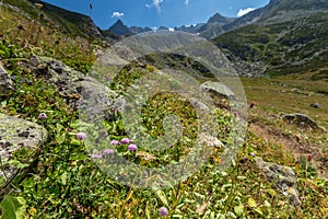 Landscape view of Kackar Mountains in Rize, Turkey.