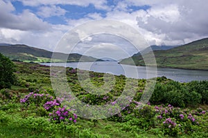 Landscape view of Killary Fjord. Green grass and blue cloudy sky