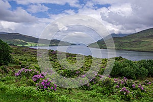 Landscape view of Killary Fjord. Green grass and blue cloudy sky photo
