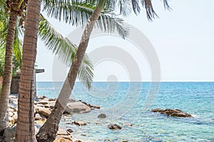 Landscape view of Koh Tao Island beach or Turtle Island Surat Thani, Thailand under blue sky in summer day