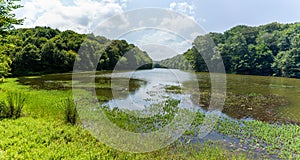 Landscape view of the lake in the Belgrad Forest, Istanbul with lush trees reflected on water