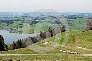 Landscape view of lake Lucerne from mountain Rigi in Switzerland. Hiking path, trail.