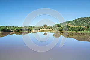 Landscape view of a lake surrounded by mountains and green savanna grassland, Pilanesburg Nature Reserve