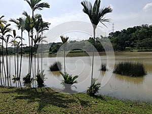 Landscape view of lakeside at Presint 12, Putrajaya