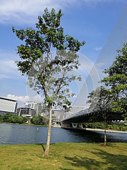 Landscape view of Lakeside Putrajaya, Presint 2, Putrajaya Malaysia