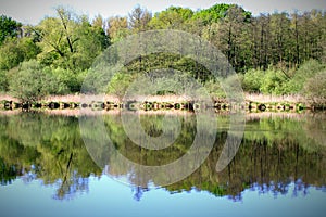 Landscape View, Lakeside View With Water Reflection, Vibrant Colour Contrast