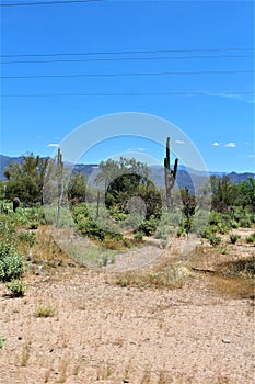 Landscape view of, Maricopa County, Rio Verde, Arizona