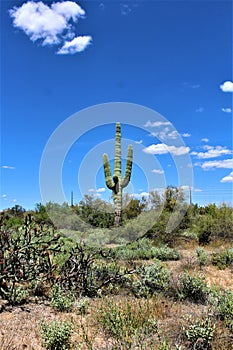 Landscape view of, Maricopa County, Rio Verde, Arizona