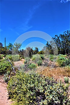 Landscape view of, Maricopa County, Rio Verde, Arizona